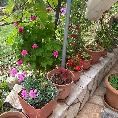 הימארה Ilias Family Rooms מראה חיצוני תמונה